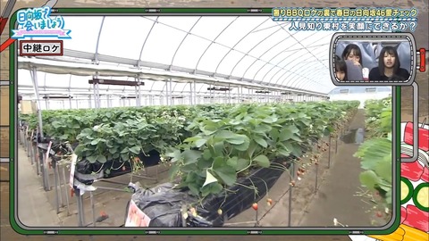 12.mp4_snapshot_18.40.311