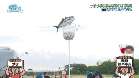 【日向坂46】今週のMVP、間違いなくこのメンバーだろ…