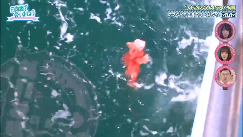 27.flv_snapshot_20.33.010
