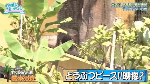 bandicam 2019-10-28 01-05-56-886.mp4_snapshot_07.28.395