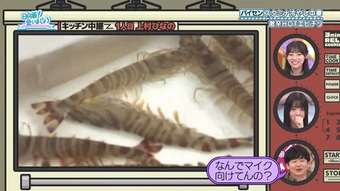 081801.mp4_snapshot_06.41.969