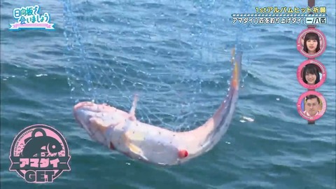 27.flv_snapshot_12.22.375