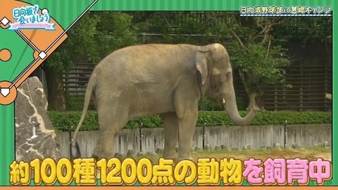 bandicam 2019-10-28 01-05-56-886.mp4_snapshot_01.33.220