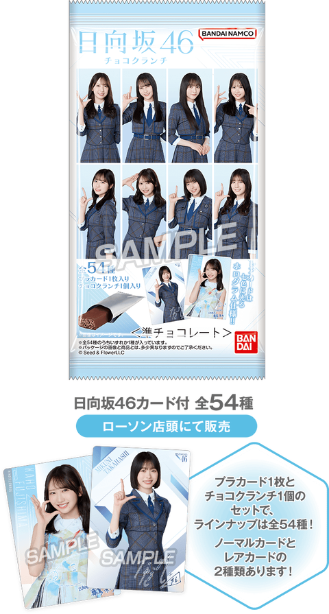sakurahinata2608_foods2_img_sp