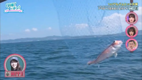 27.flv_snapshot_13.02.388
