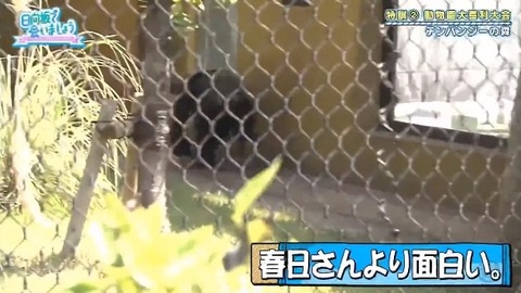 bandicam 2019-10-28 01-05-56-886.mp4_snapshot_07.53.223