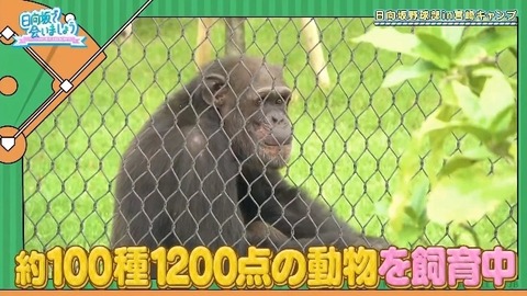 bandicam 2019-10-28 01-05-56-886.mp4_snapshot_01.36.520