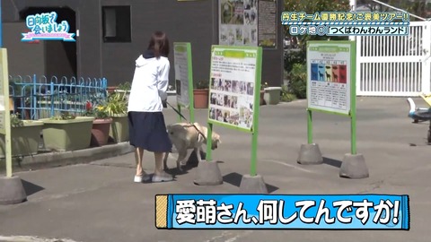 120.flv_snapshot_20.42.662
