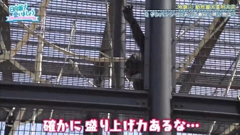 bandicam 2019-10-28 01-05-56-886.mp4_snapshot_09.00.647