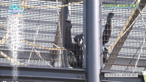 080404.mp4_snapshot_03.55.995