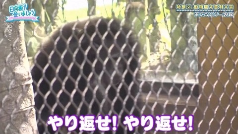 bandicam 2019-10-28 01-05-56-886.mp4_snapshot_07.42.091