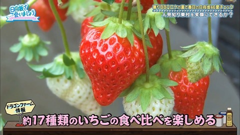 12.mp4_snapshot_18.43.267