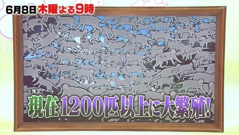 bandicam 2023-06-01 20-59-15-068.avi_snapshot_00.53.24.296