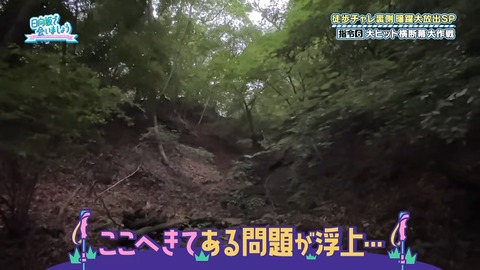 1216438877-1-30077.mp4_snapshot_25.42.502