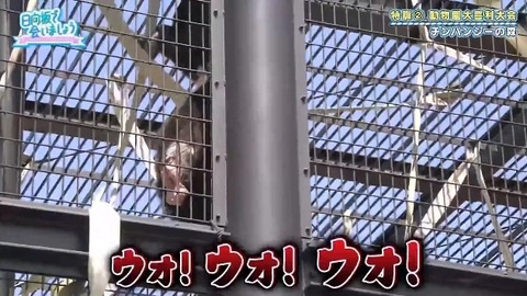 bandicam 2019-10-28 01-05-56-886.mp4_snapshot_08.15.190