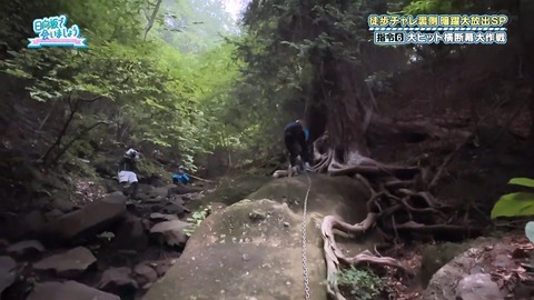 1216438877-1-30077.mp4_snapshot_19.47.372