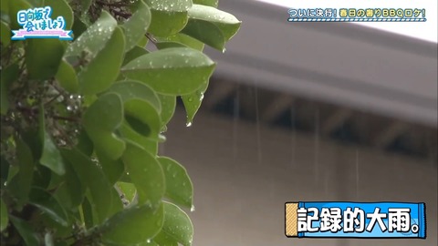 11.mp4_snapshot_00.24.666