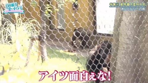 bandicam 2019-10-28 01-05-56-886.mp4_snapshot_07.34.500