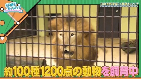 bandicam 2019-10-28 01-05-56-886.mp4_snapshot_01.38.666