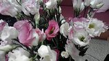 今週の待合の花 09Au1stW