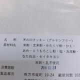 天野川セイタカヨシ (5)