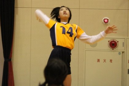 hirakatavolleyballacademy-290432