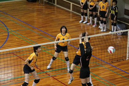 hirakatavolleyballacademy-319264