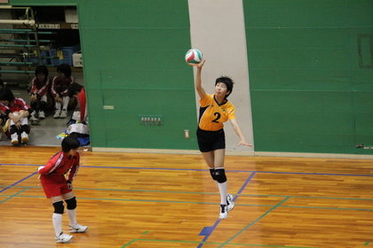 hirakatavolleyballacademy-319260