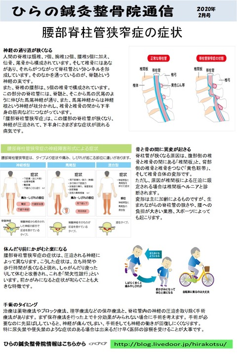 腰部脊柱管狭窄症 ひらの鍼灸整骨院のブログ 腰部脊柱管狭窄症 ひらの鍼灸整骨院のブログ
