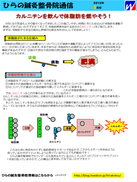 カルニチン