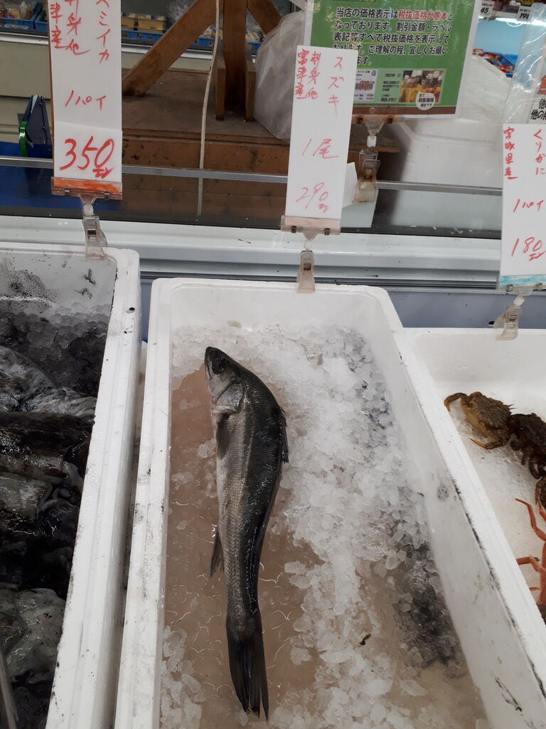 木更津のb級ご当地グルメ 木更津焼きそば を銭湯で しかもここはレアなギターの宝庫だった 関東b級グルメドライブ ちょに らいでん がメタボで帰還 木更津のb級ご当地グルメ 木更津焼きそば を銭湯で しかもここはレアなギターの宝庫だった 関東b級グルメドライブ ちょに らいでん がメタボで帰還