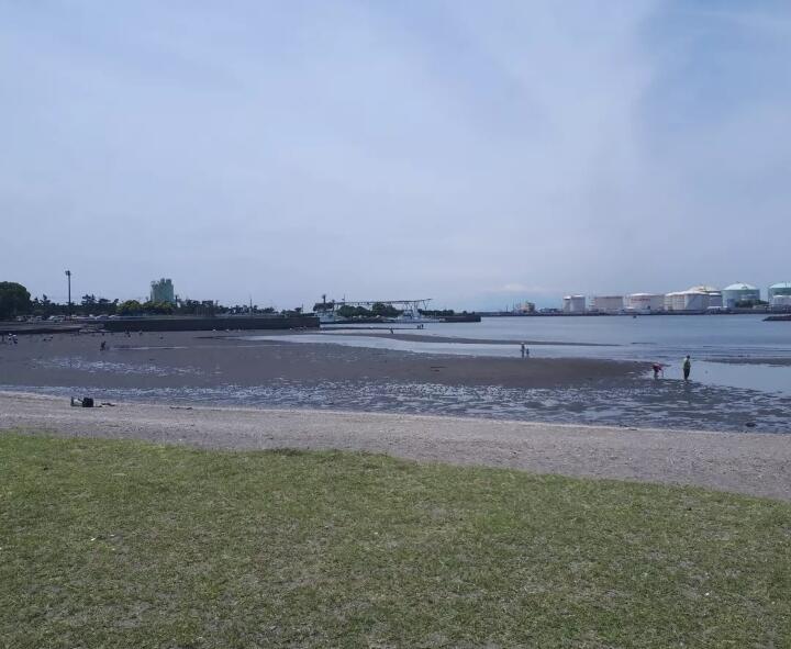 マニアックなツメタ貝とイボニシ貝を捕って食してみた 千葉ポートパークの潮干狩り 関東b級グルメドライブ ちょに らいでん がメタボで帰還