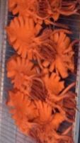 20191025_195231