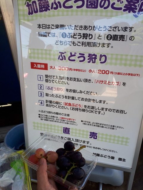20180905_142206