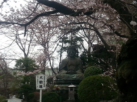 20160401_142016