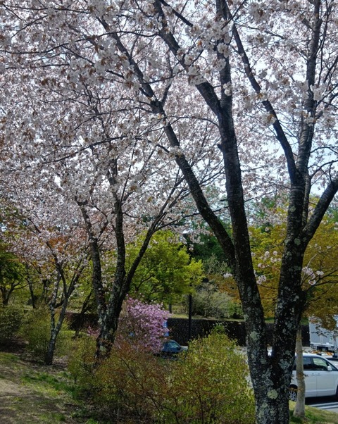 Screenshot_20260422-213621~2