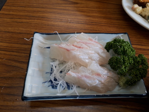 20190203_120431