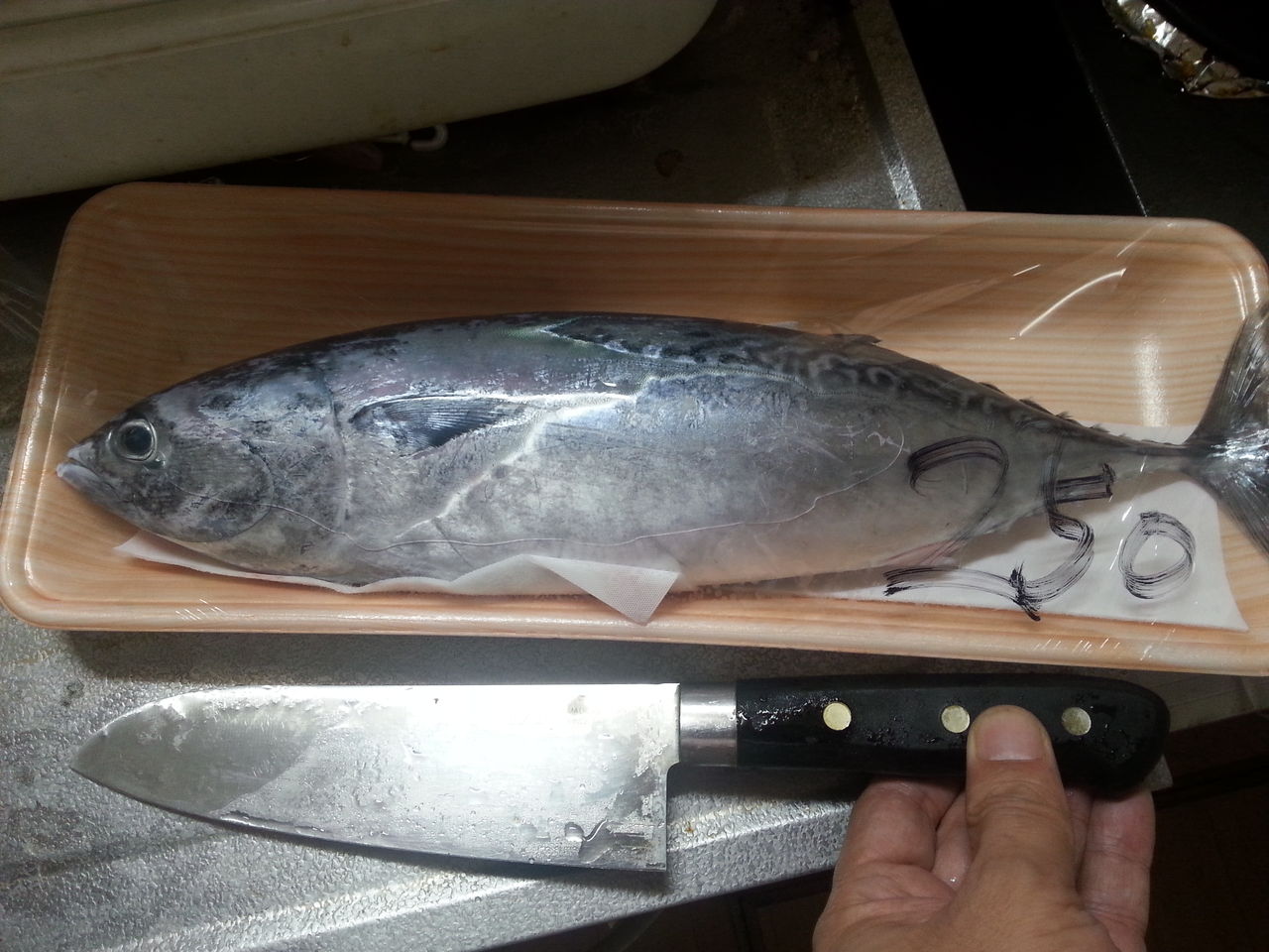 珍しい ソウダガツオ 250円 自宅で調理してみた 関東b級 ご当地グルメドライブ ちょに らいでん がメタボで帰還