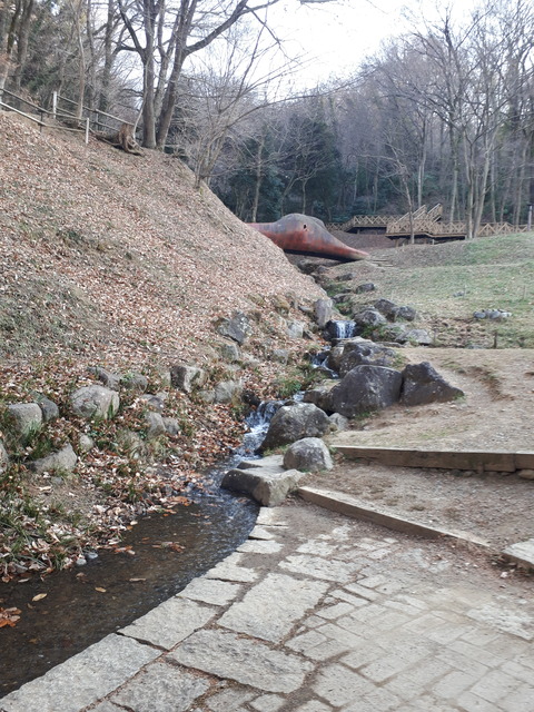 20190108_150500