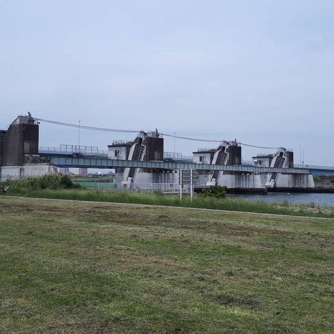 IMG_20210526_174747_207