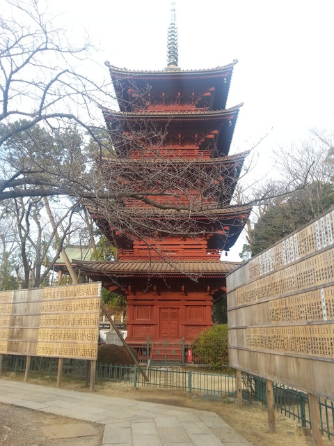 20180219_160416