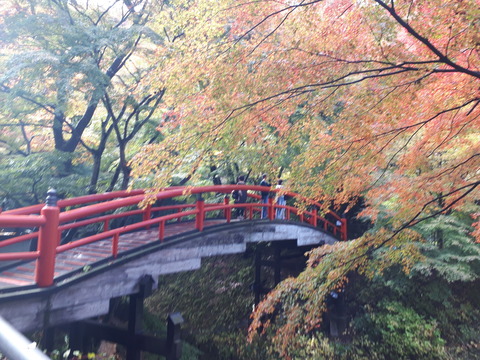 20181027_111635