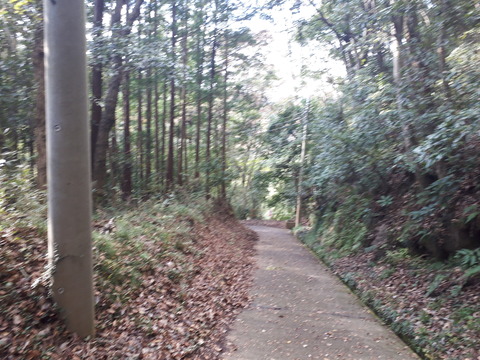20181020_135602