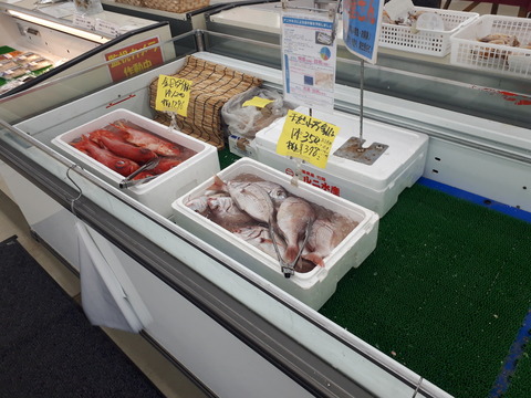 20231223_125952