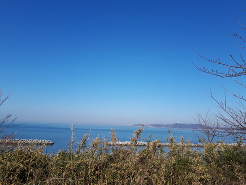 20190203_121959