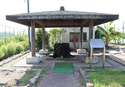chiba_no_tane_025_5_1