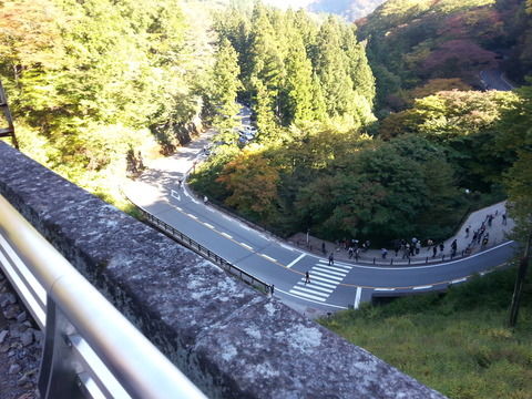 47f7e317-s-1