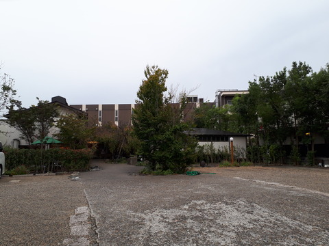 20201019_115307