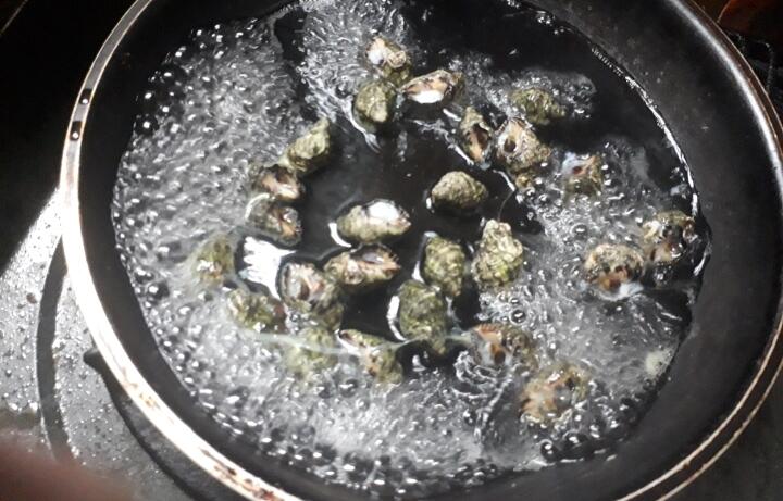 マニアックなツメタ貝とイボニシ貝を捕って食してみた 千葉ポートパークの潮干狩り 関東b級グルメドライブ ちょに らいでん がメタボで帰還