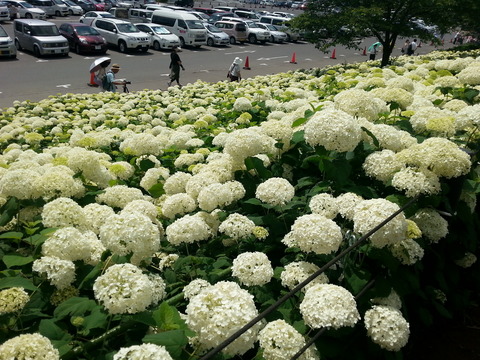 20160614_134129